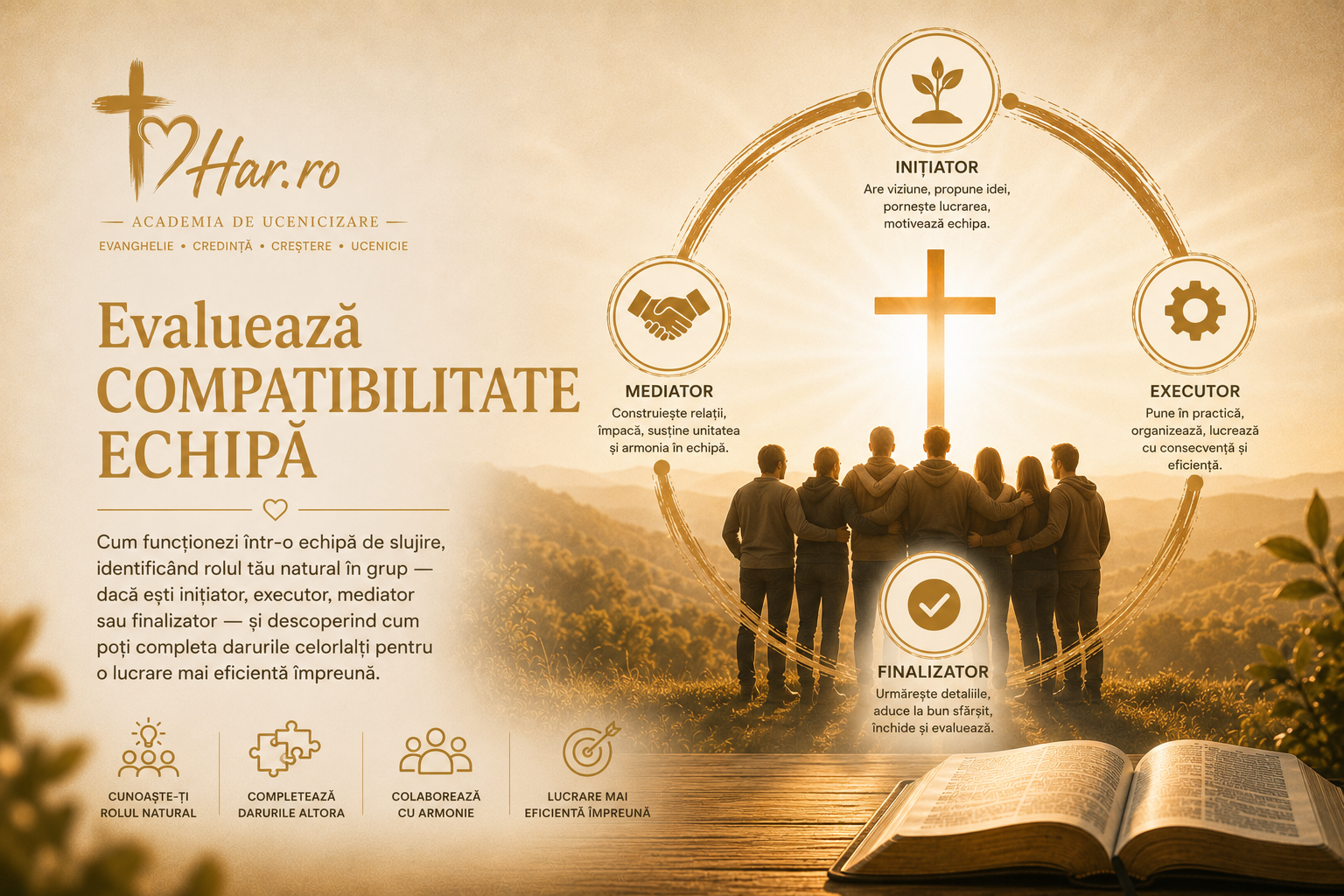 Compatibilitate Echipă